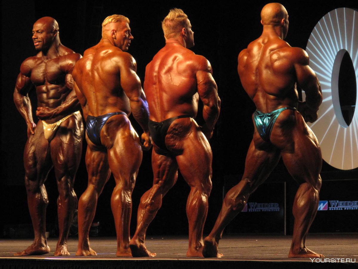 Фил хит на пике формы