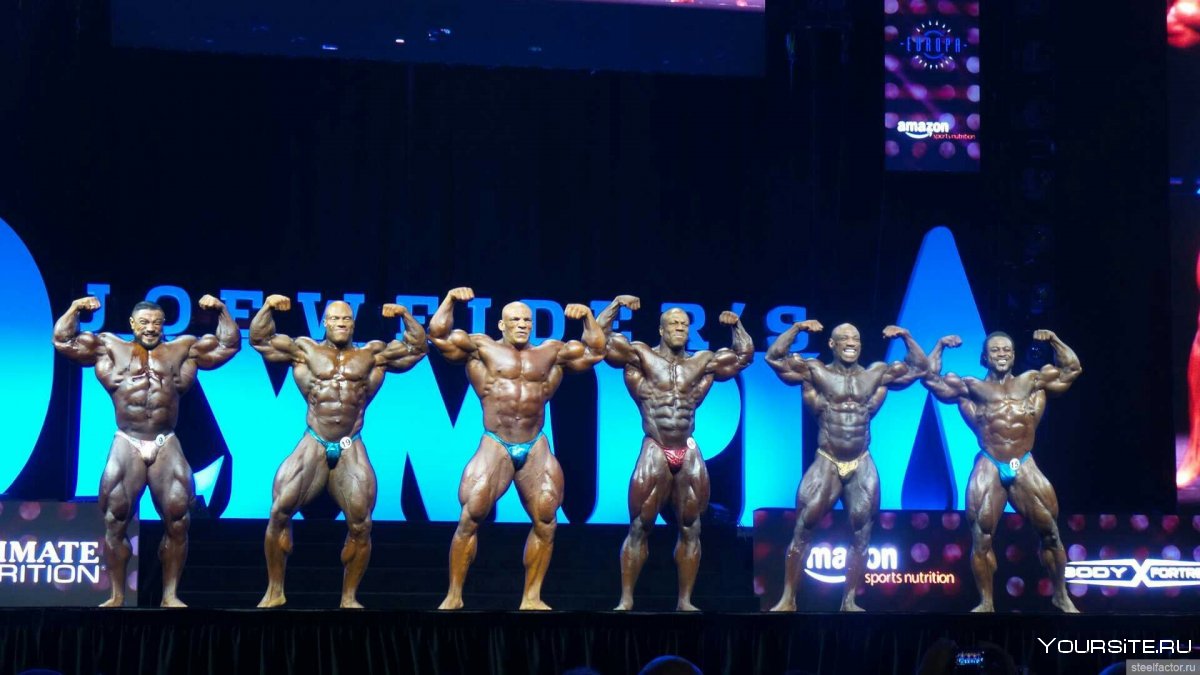 NABBA бодибилдинг