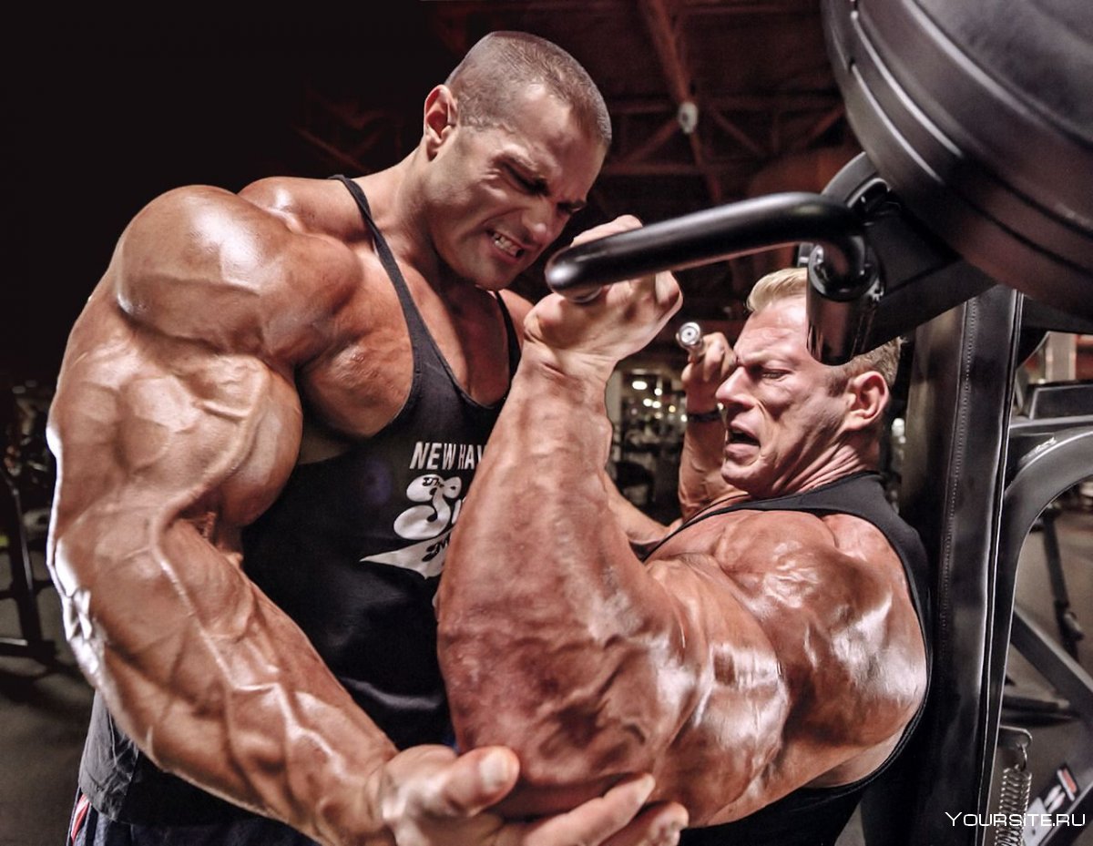 Кевин Эдмондс мужской бодибилдинг 40+