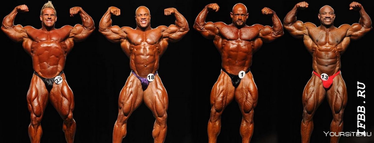 Бренч Уоррен 2019