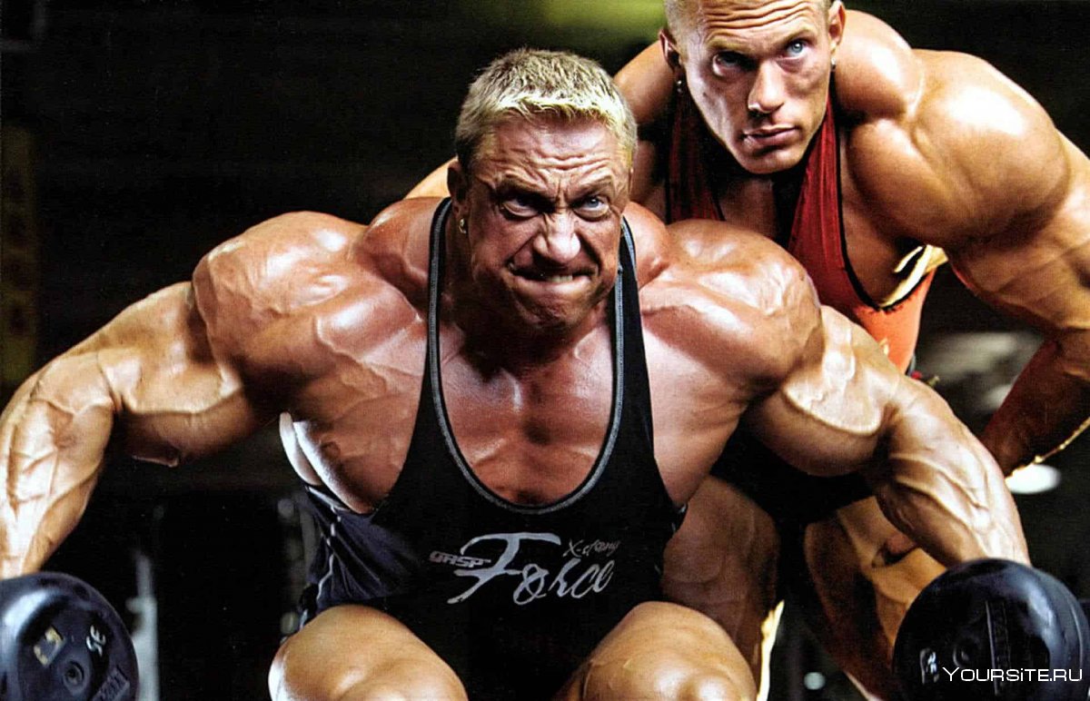 Кубок Мистер Олимпия