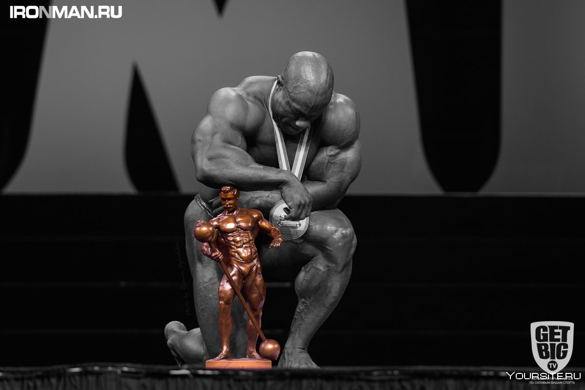 Фил хит Олимпия 2020