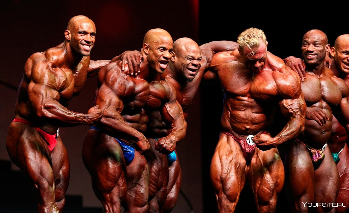 Мамду Элссбиай Мистер Олимпия