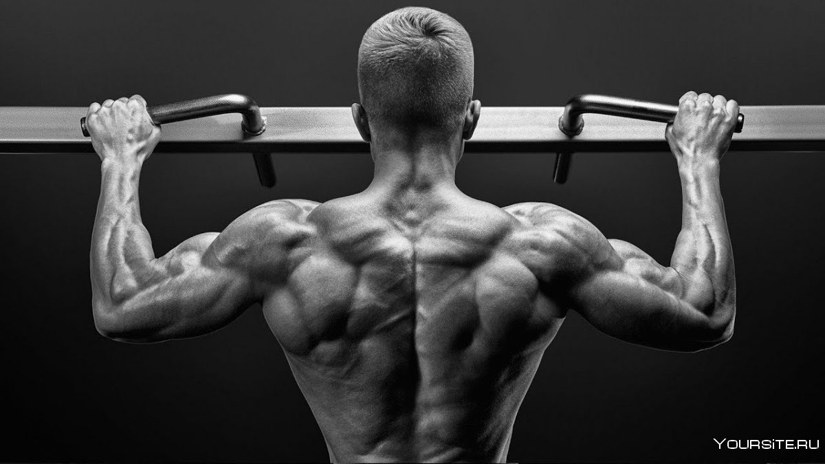 Владимир Хамидов подтягивания