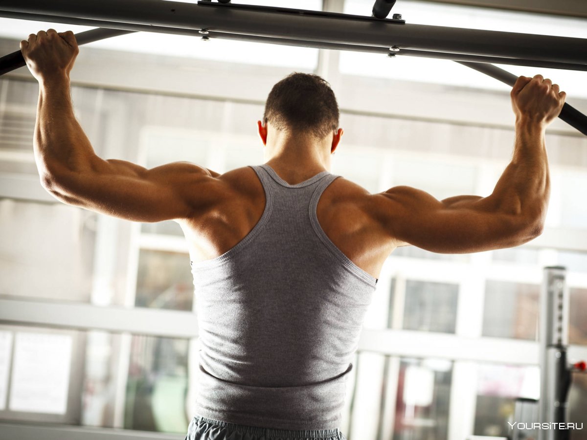 Спина спортсмена