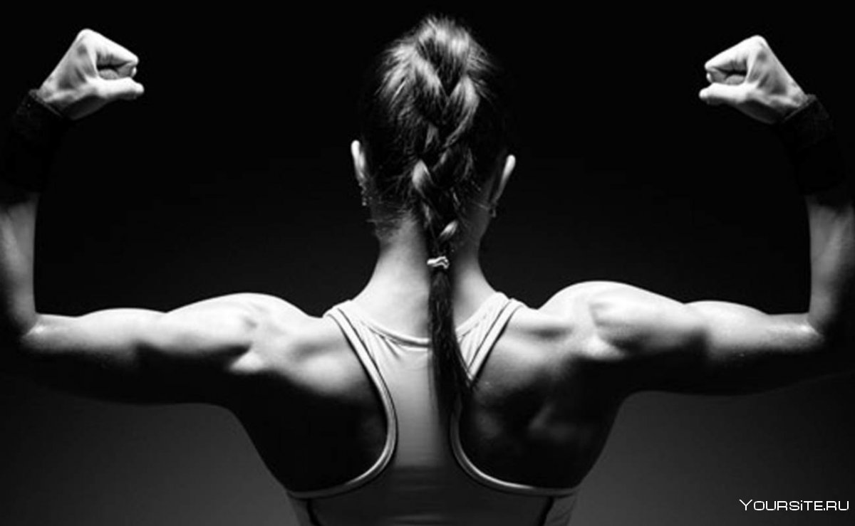 Мышцы спины фитнес