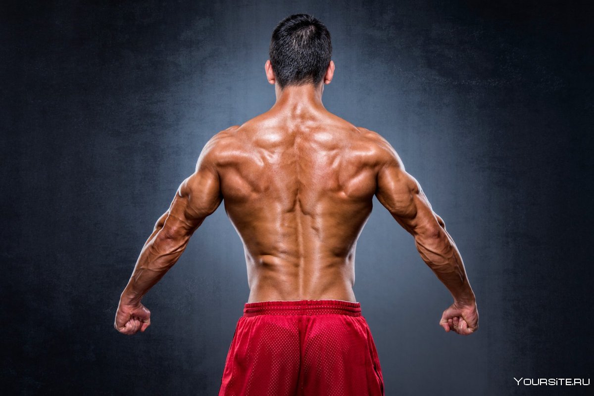 Мощная спина
