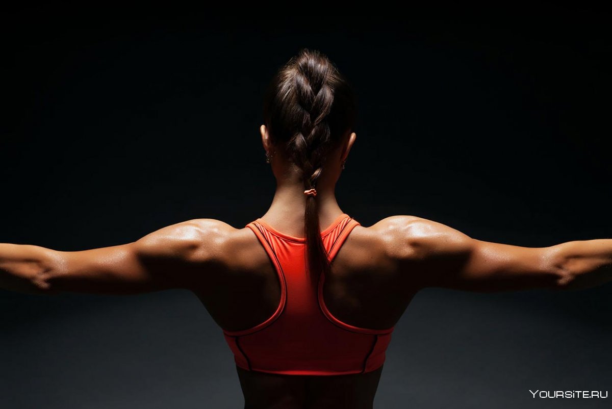 Мышцы спины спорт
