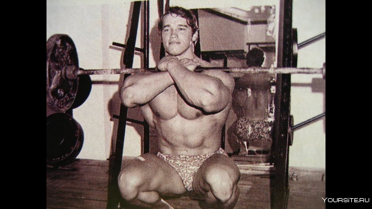 Качалка Gym