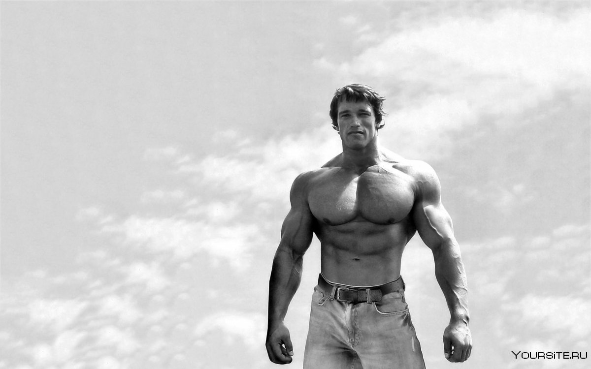Seth feroce бодибилдинг