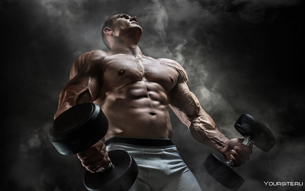 Приседания со штангой