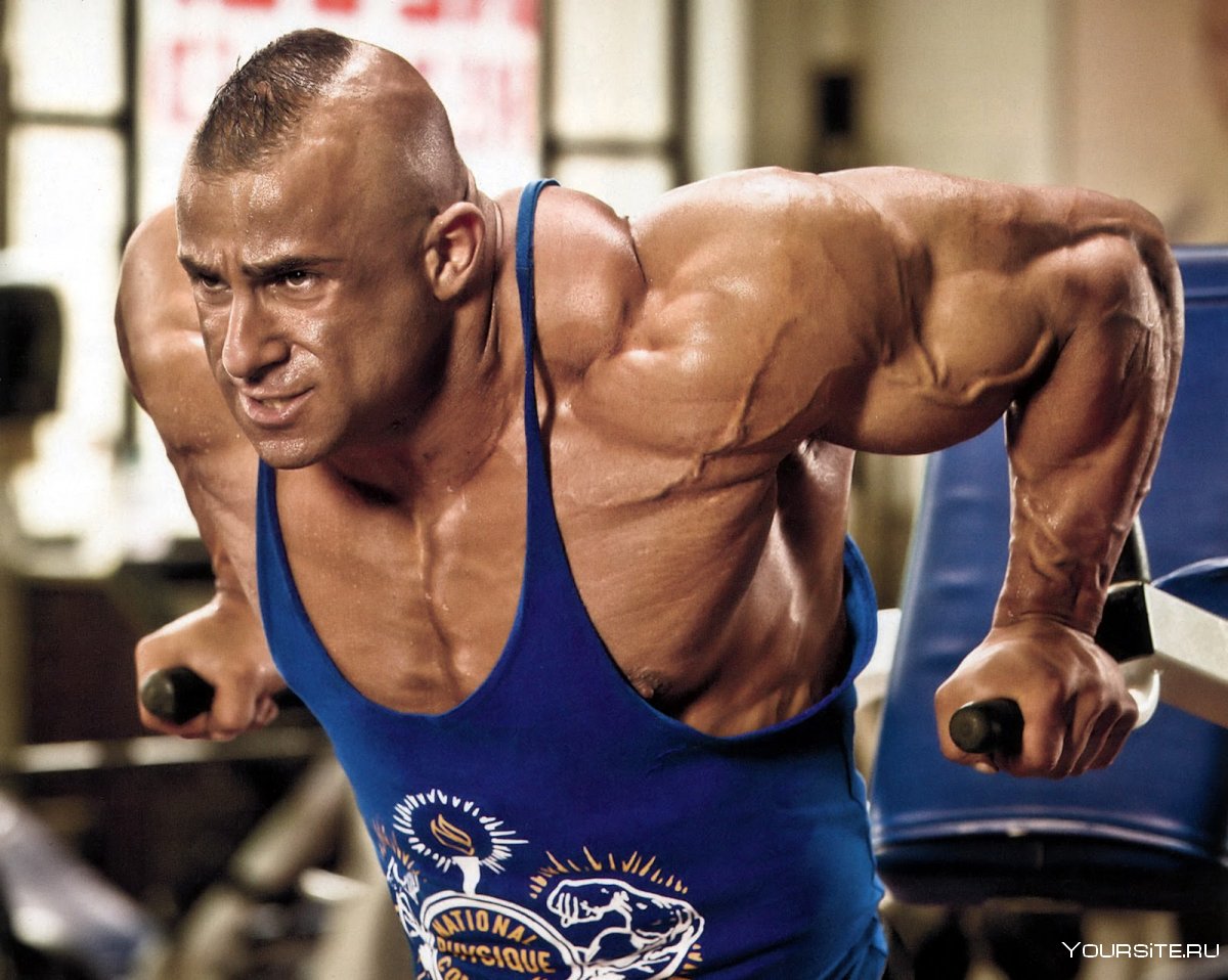 Хидэтада Ямагиси сейчас