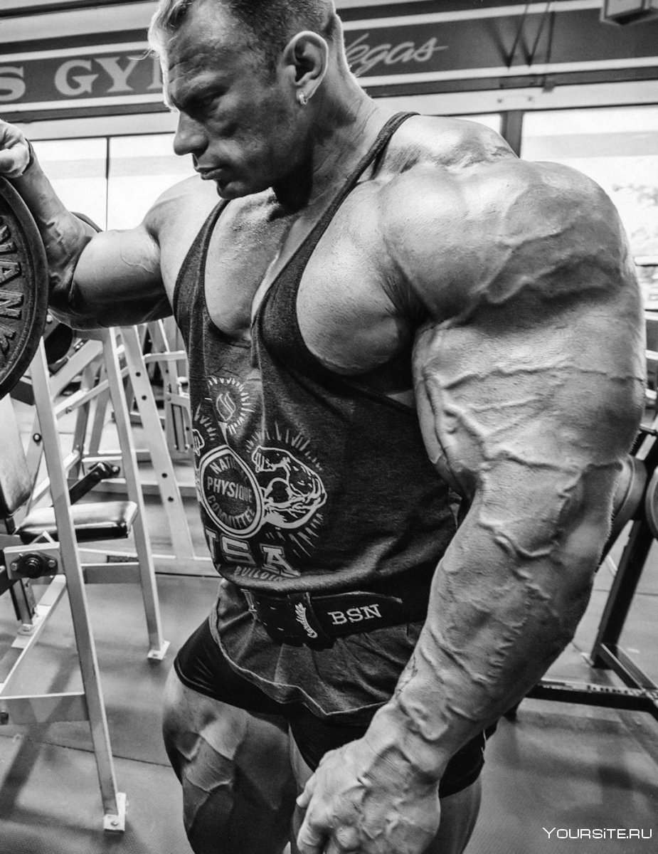 Dennis Wolf Bodybuilding