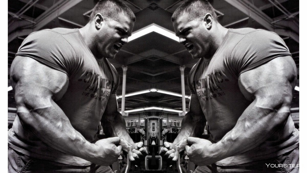 Бодибилдинг обои