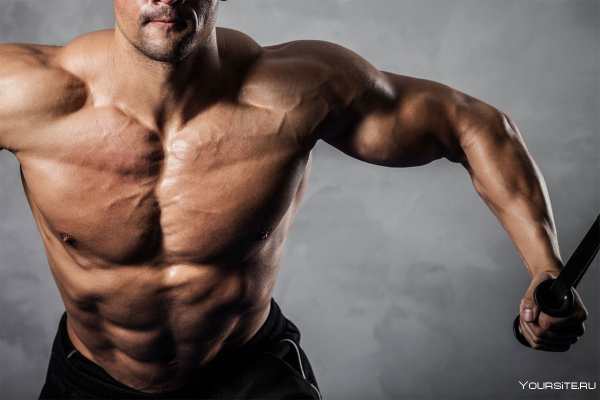 Мышцы спортсмена