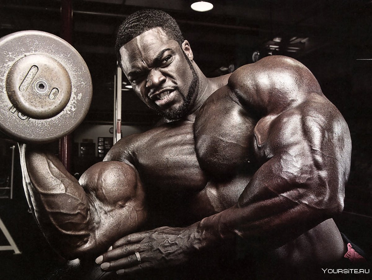 Брэндон карри бицепс