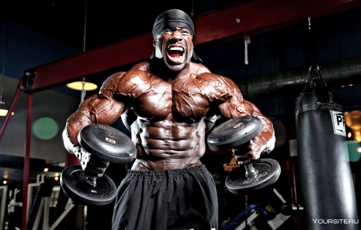 Kali muscle рост