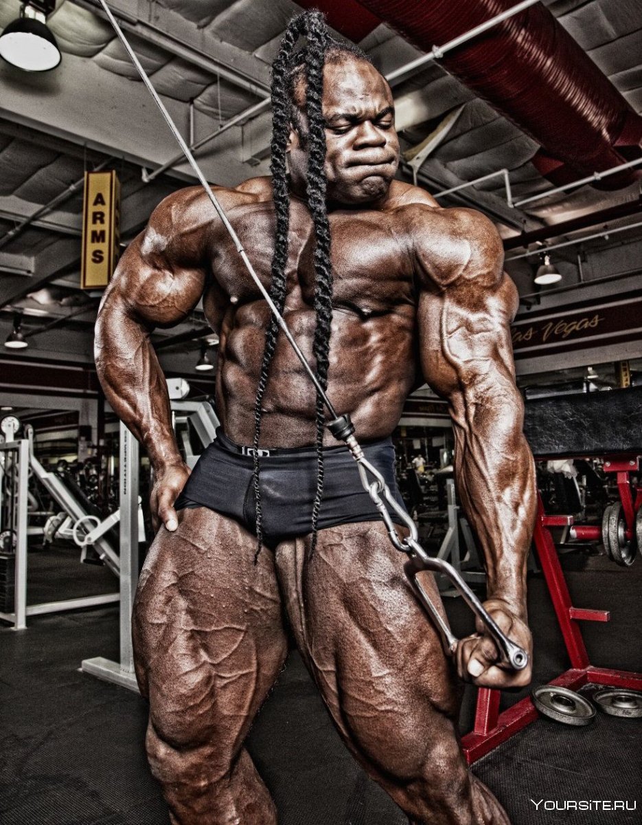 Кай Грин рост