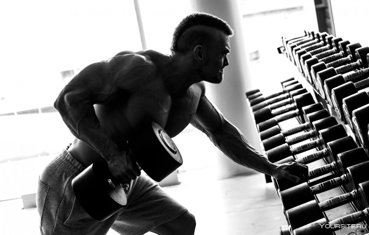 Спортивные люди