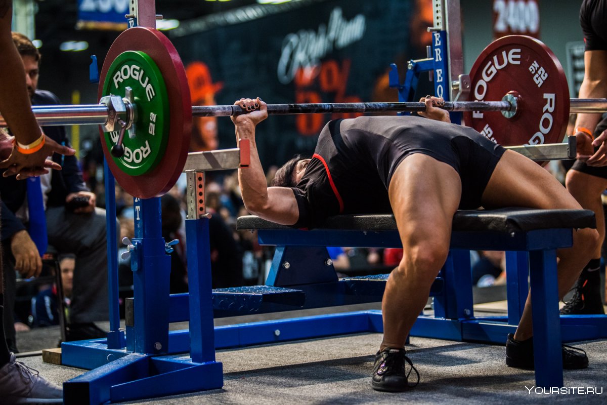 Powerlifting жим лежа