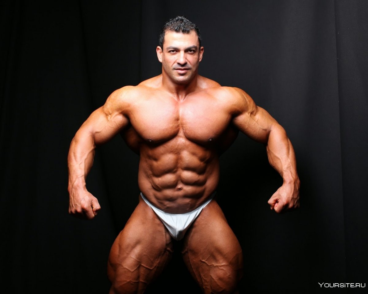 Tarek Elsetouhi