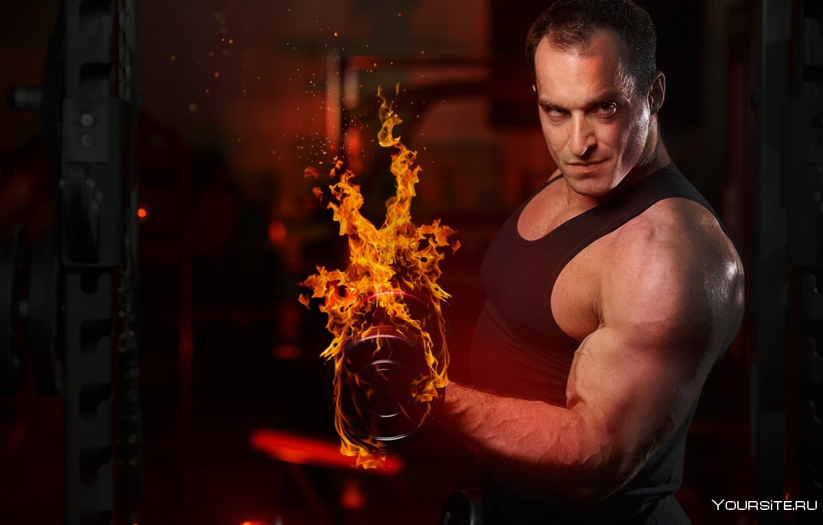 Bodybuilding упражнения
