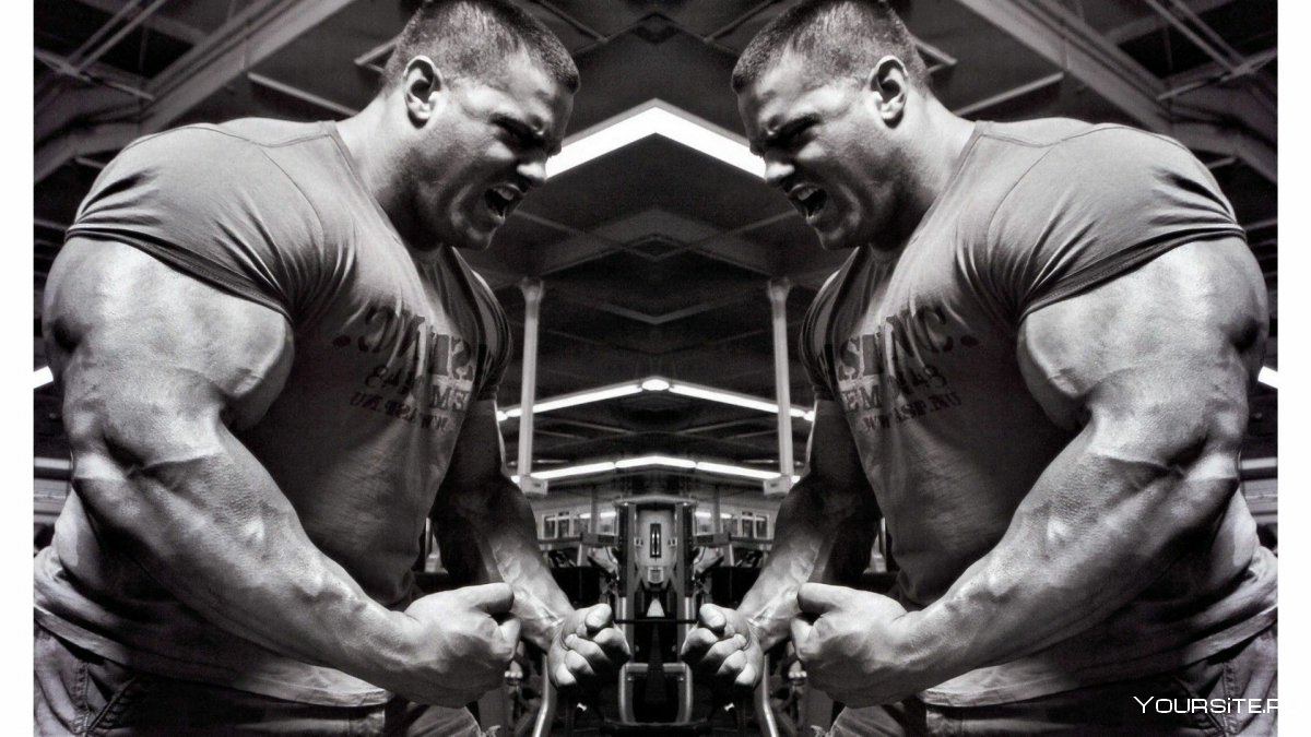 Спорт штанга