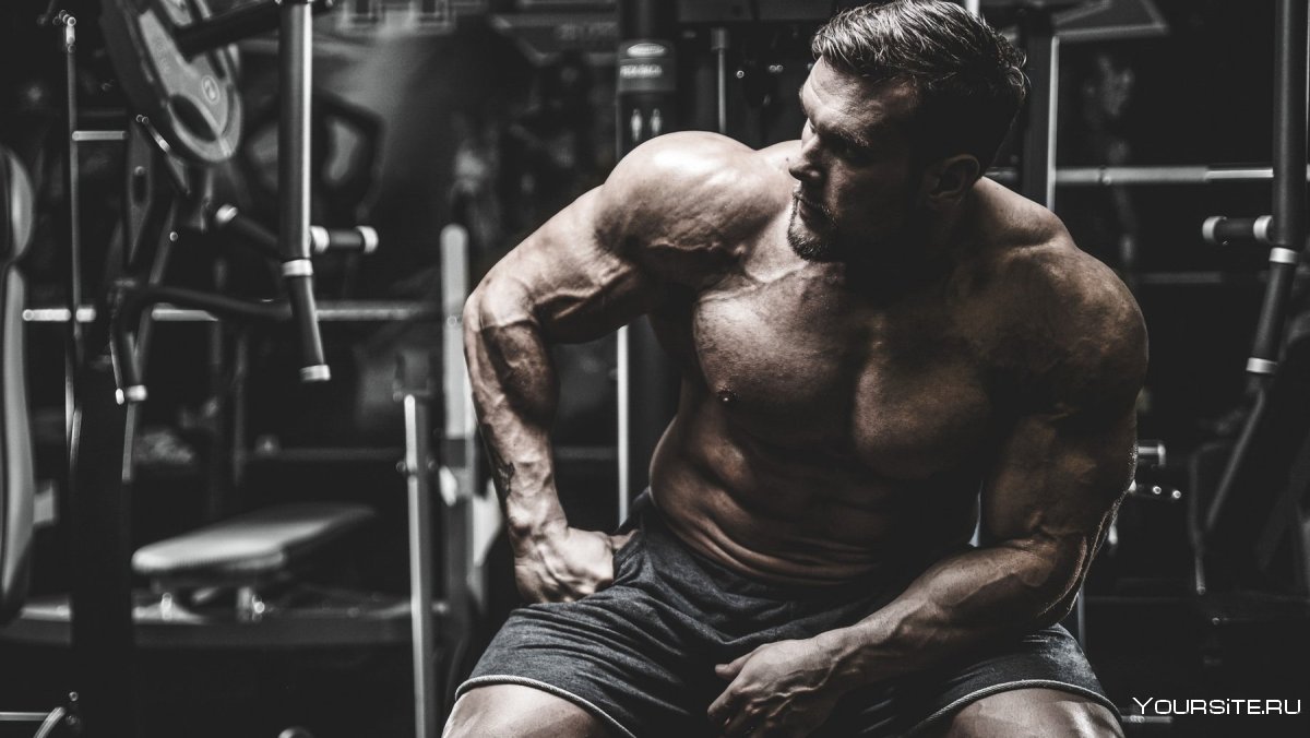 Time Gym картинки брутальные