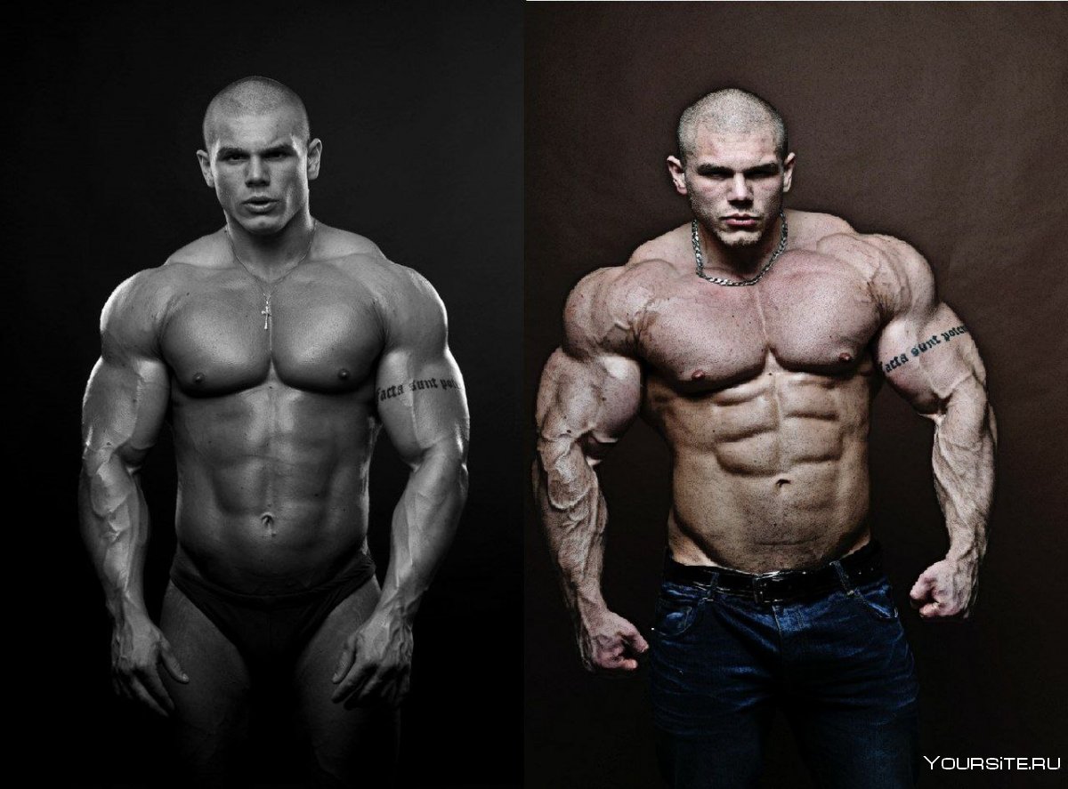 Эндоморф в бодибилдинге