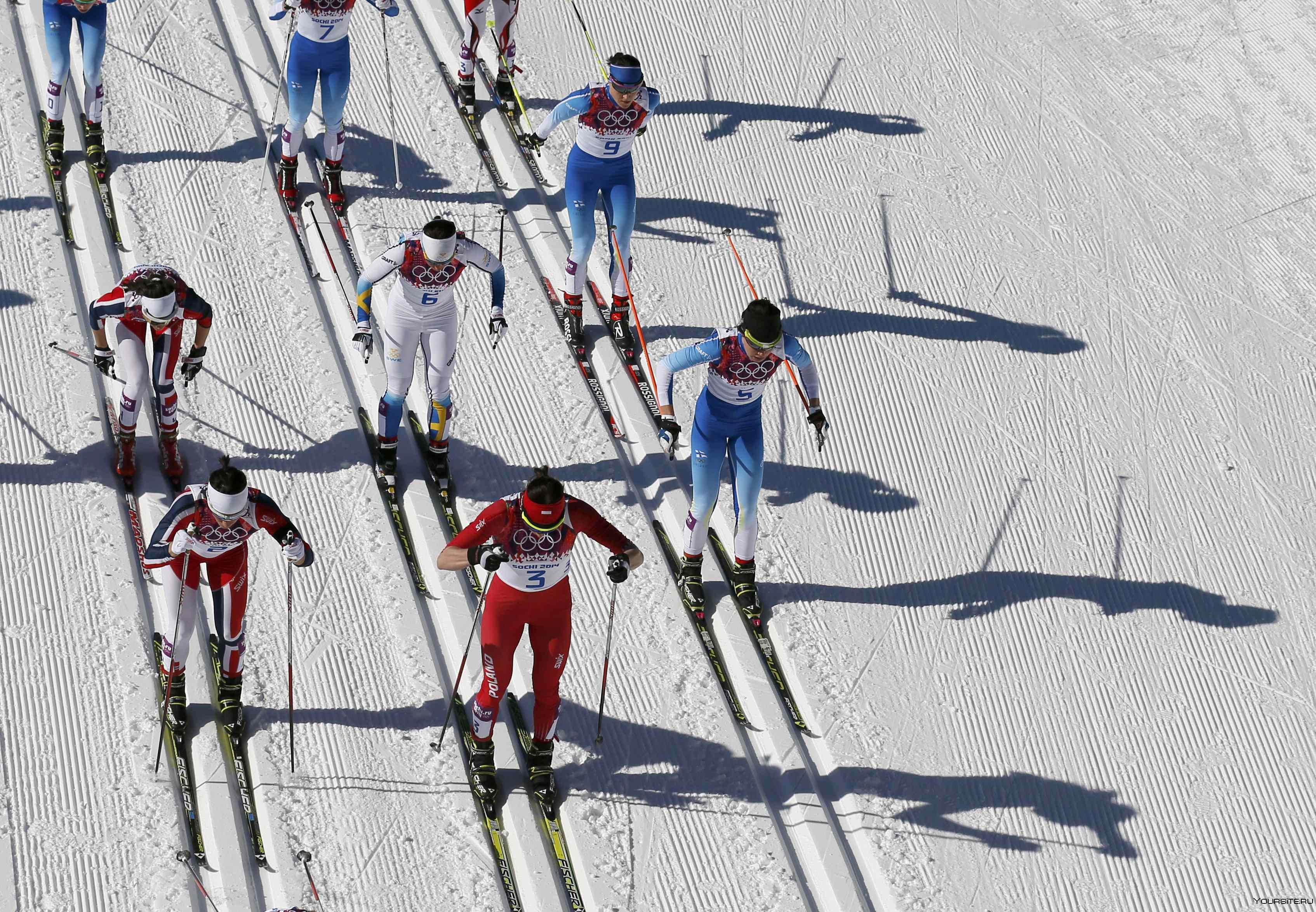 Язык лыжников. Лыжные гонки. Виды спорта на лыжах. Лыжные гонки вид спорта. Лыжи соревнования.