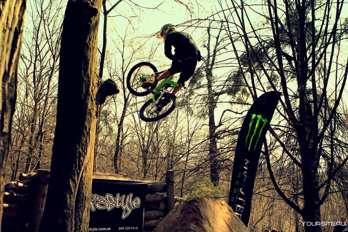 Freeride/ MTB / Dirt
