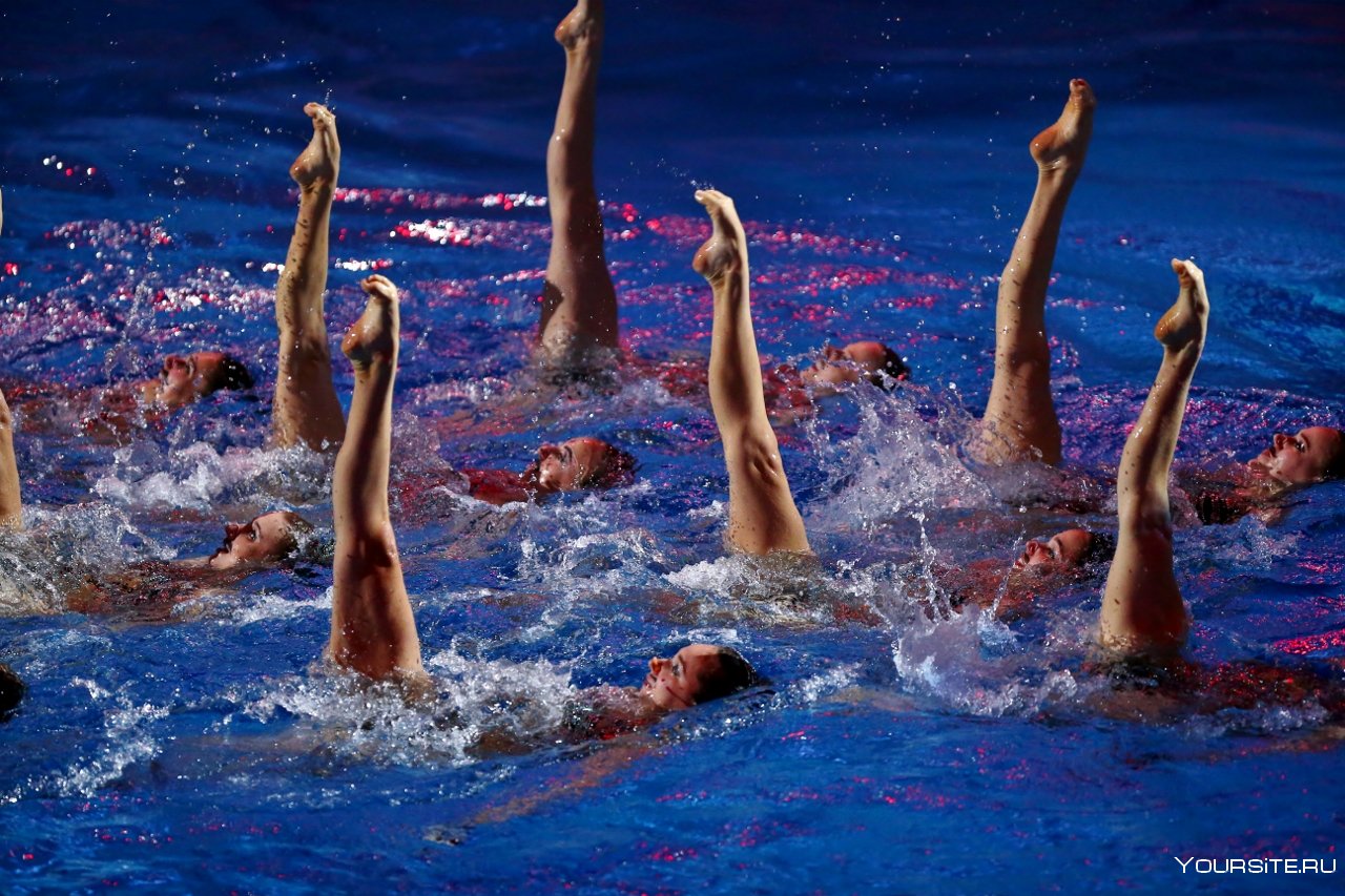 Плавание спортивные группы. Каталина синхронное плавание.