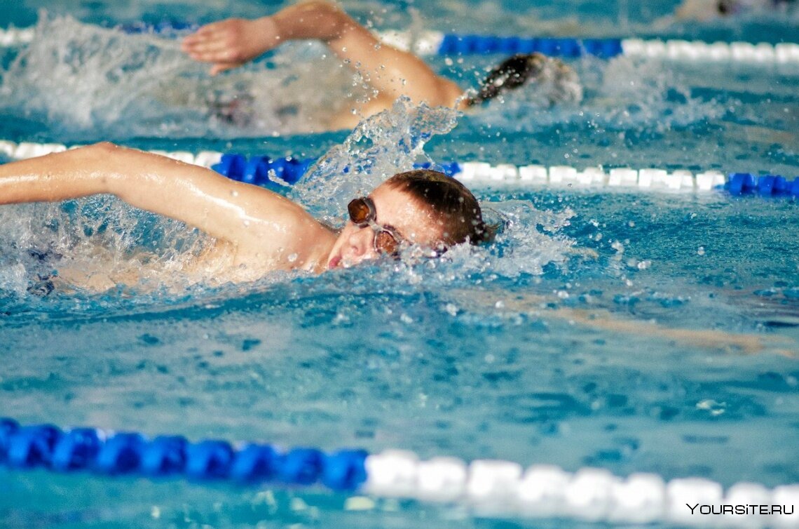 Плавание дети соревнования