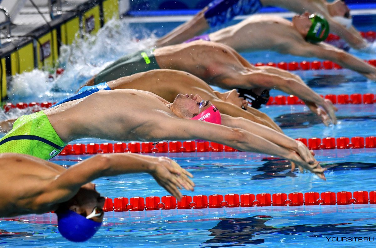 Олимпийские пловцы фото