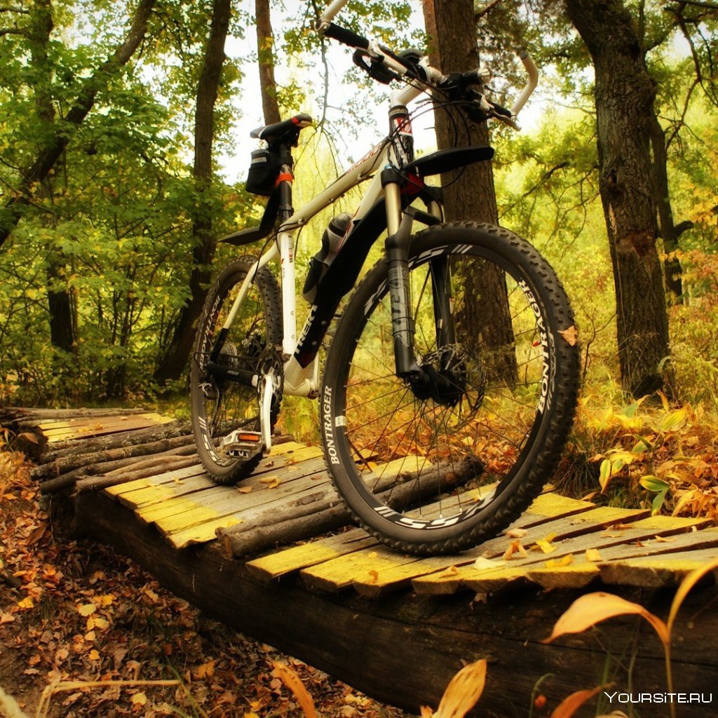 Велосипед для леса