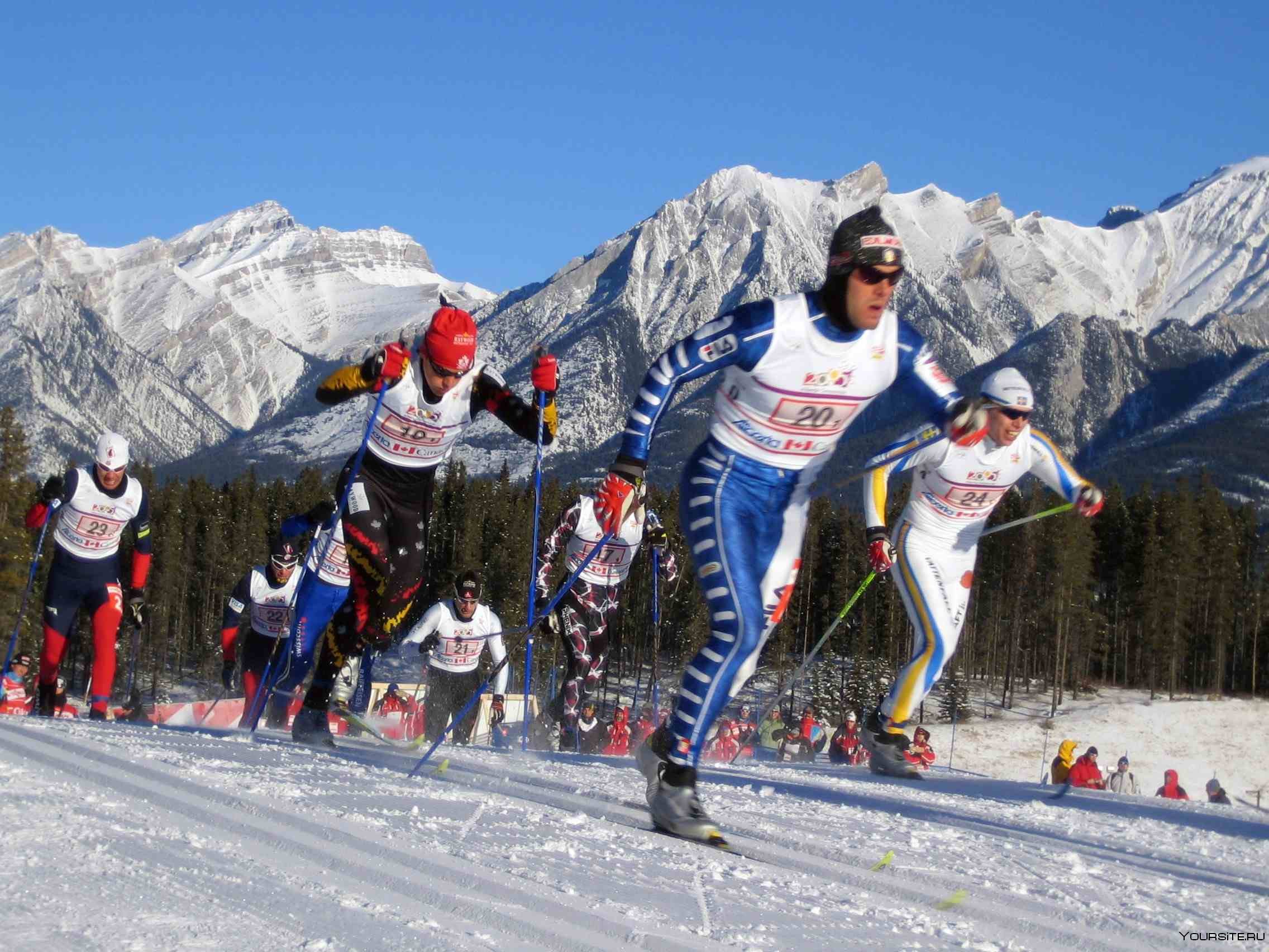 Три лыжных спортсмена. Лыжный спорт. Лыжи спорт. Лыжные гонки. Виды спорта на лыжах.