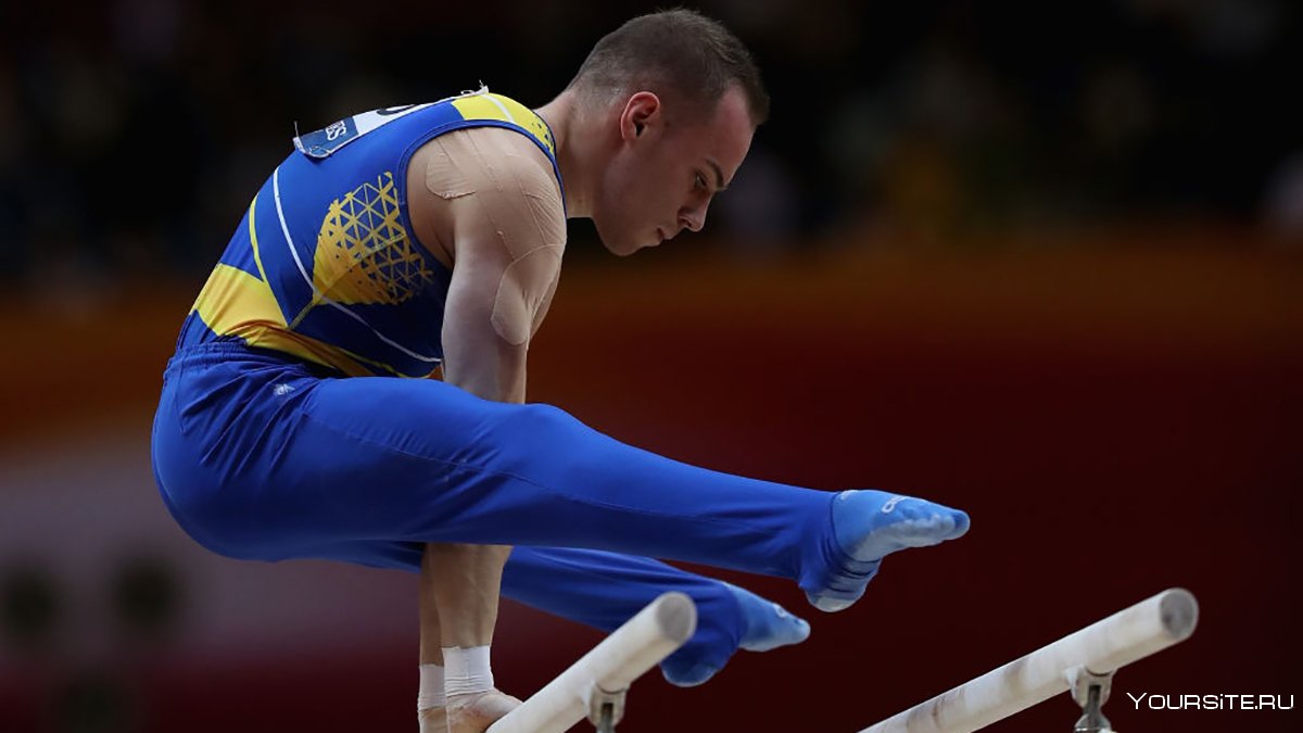 Давид Белявский спортивная гимнастика