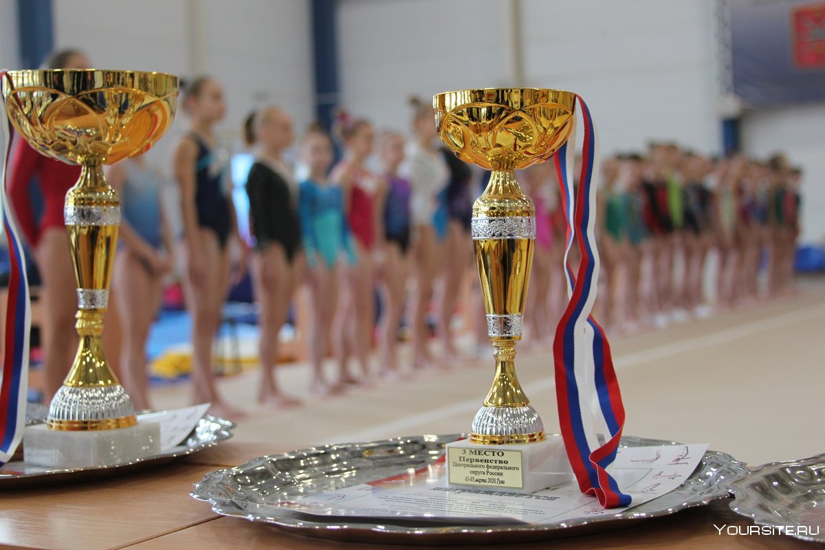 Кубок по спортивной гимнастике картинка