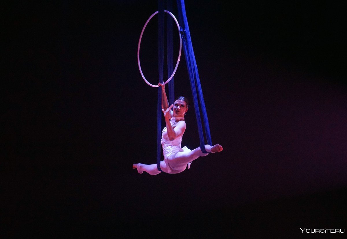 Акробатика в цирке