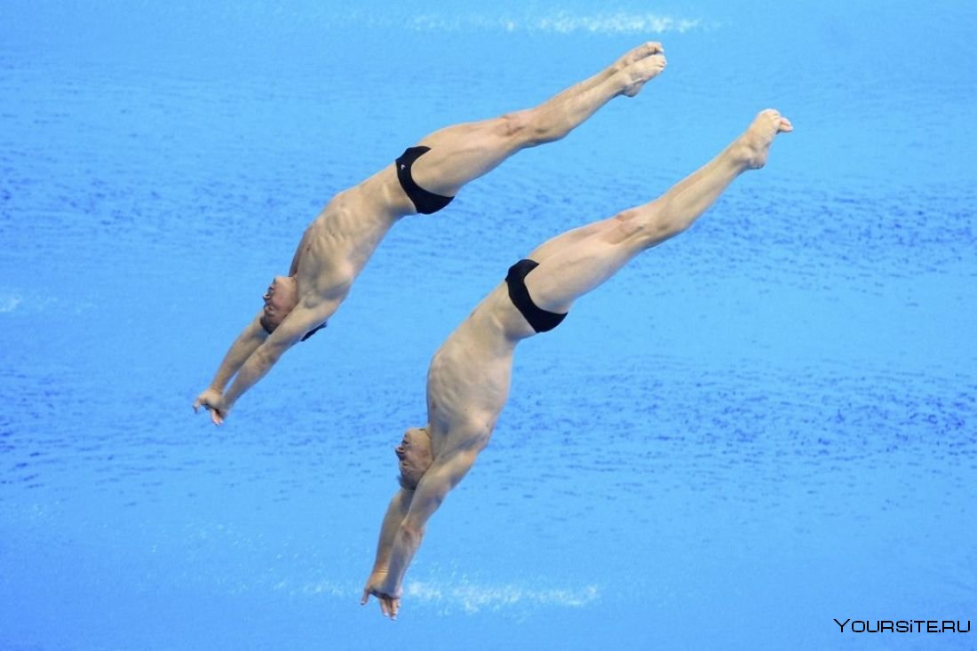 Прыжки в воду вид спорта
