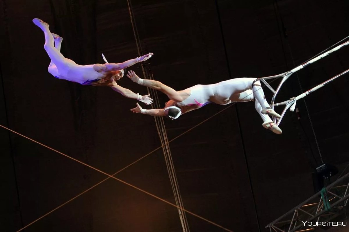 Воздушная акробатика в цирке
