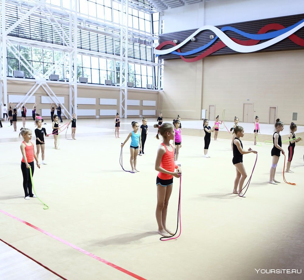 Центр художественной гимнастики Новогорск