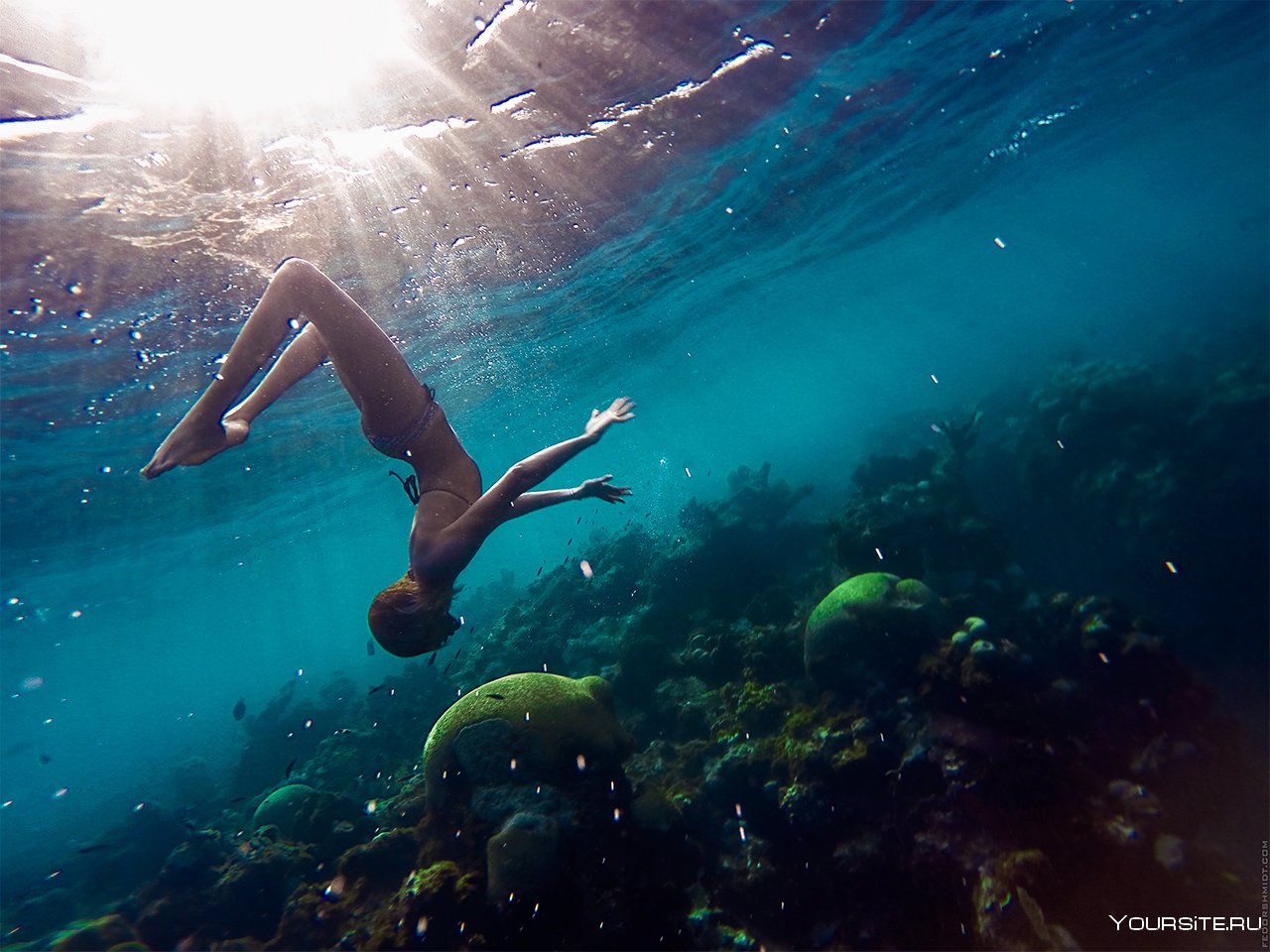 Девушка в воде красиво. Девушка под водой. Под водой красиво. Красивые девушки под водой. Фотосессия под водой.
