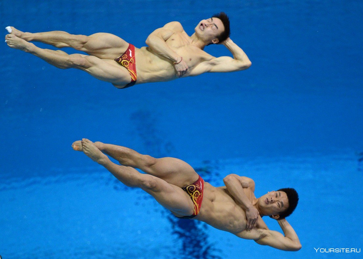Прыжки в воду в китае. Илья Захаров с женой прыжки в воду. Китайские прыгуны в воду. Китайские прыгуны в воду мужчины. Китайские спортсмены прыжки в воду.