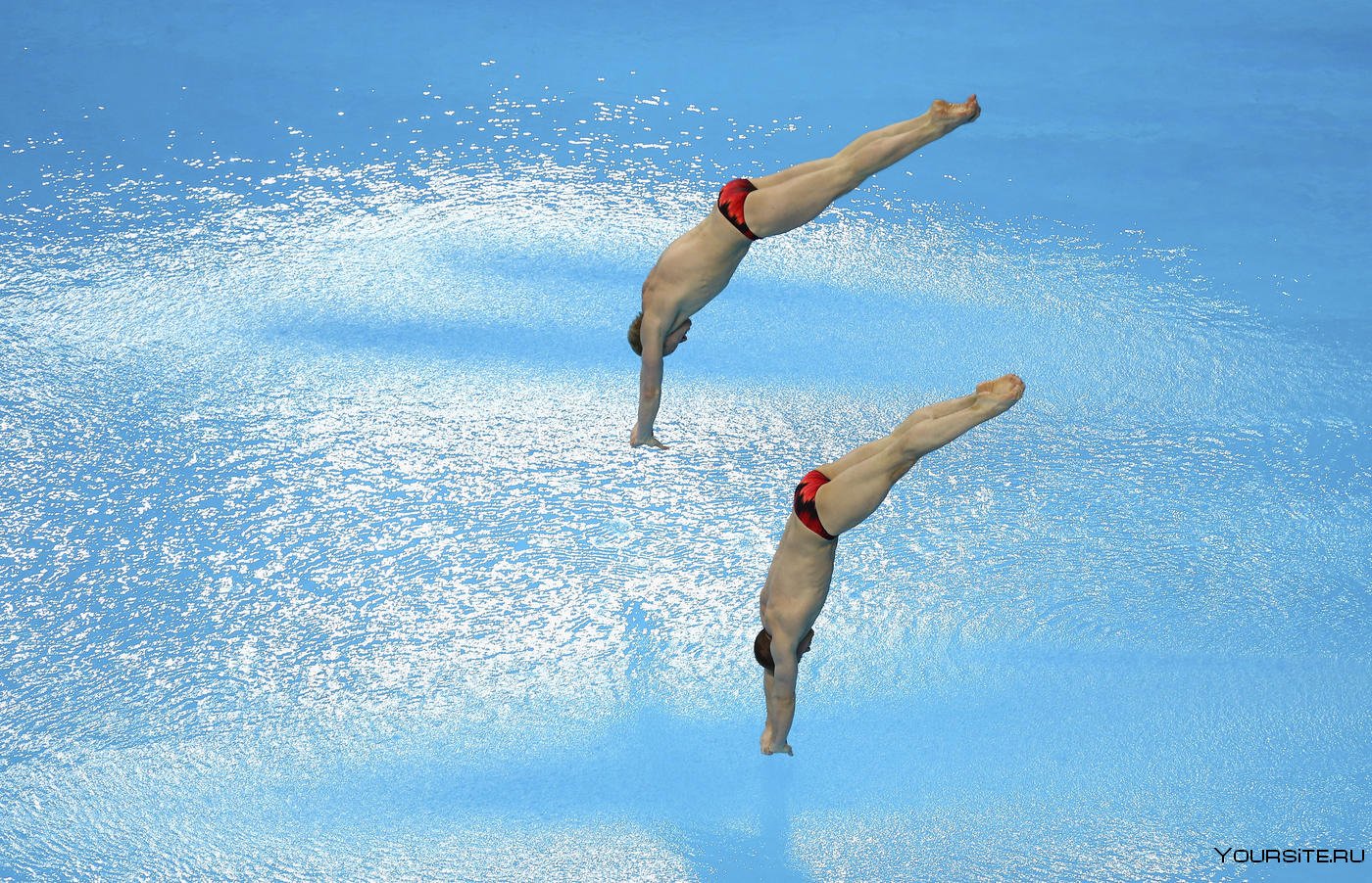 Классы прыжков в воду. Прыжки в воду Олимпийский вид спорта. Прыжок с трамплина в бассейн. Прыгун в воду на трамплине. Синхронные прыжки.