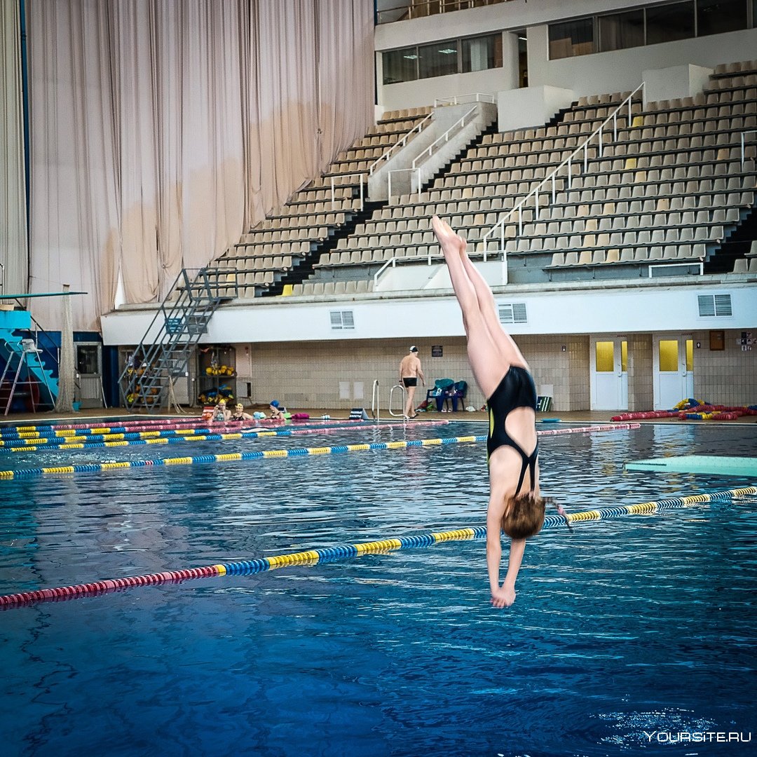 Прыжки в воду вид спорта