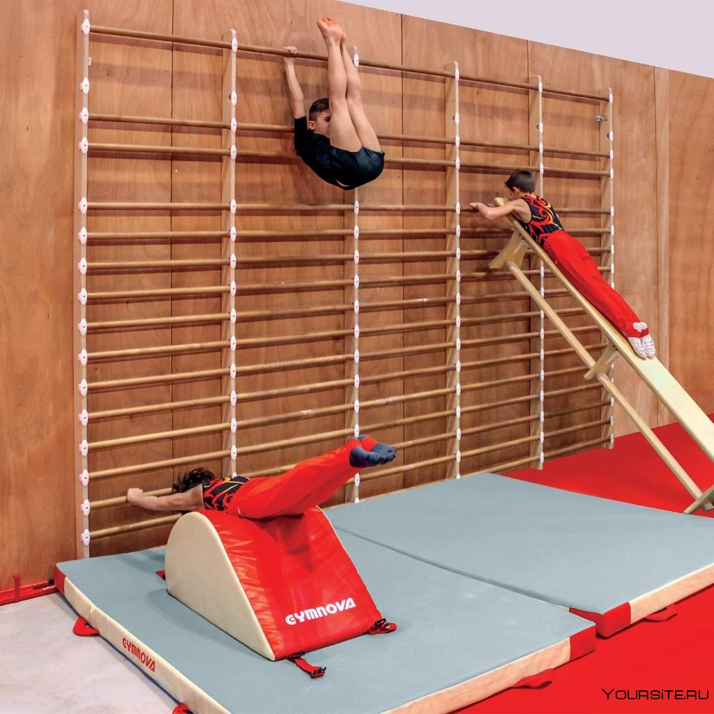 гимнастические упражнения на шведской стенке