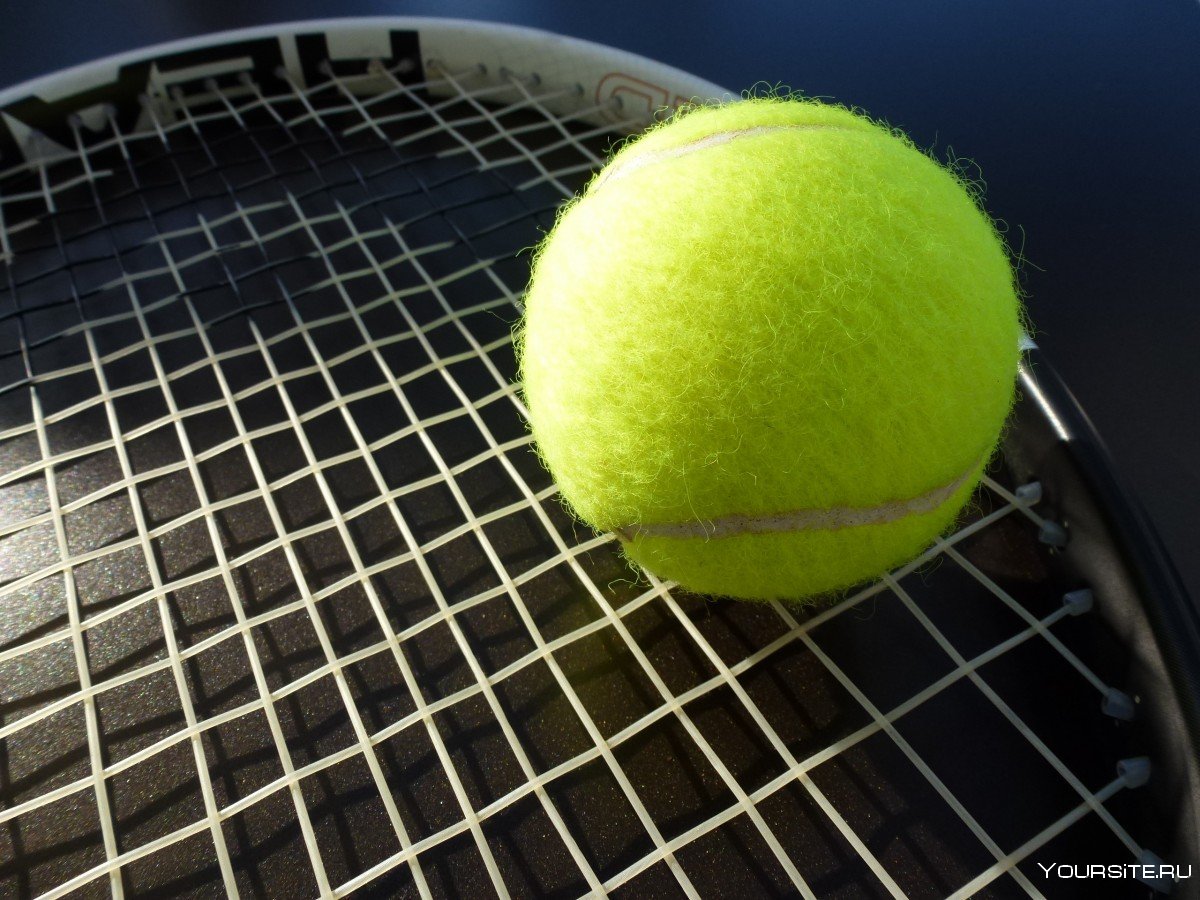 Большой теннис для начинающих