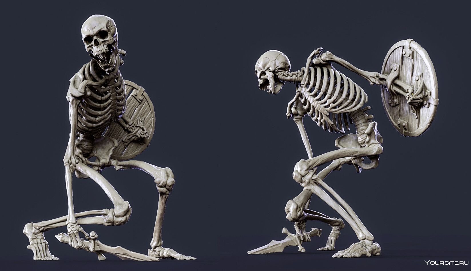 Три типа скелета