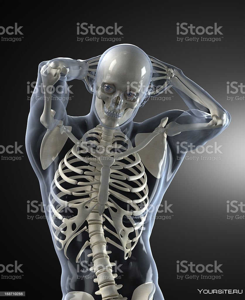 Скелет человека с поднятой рукой